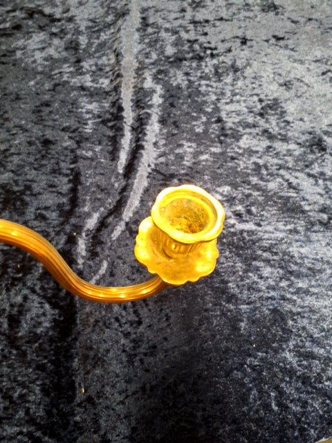 Kandidater med roser og bladranke